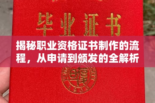 辉南揭秘职业资格证书制作的流程，从申请到颁发的全解析