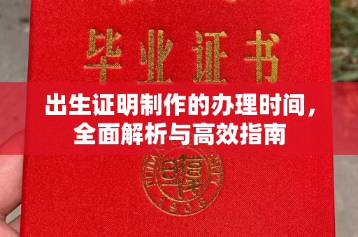 辉南出生证明制作的办理时间，全面解析与高效指南